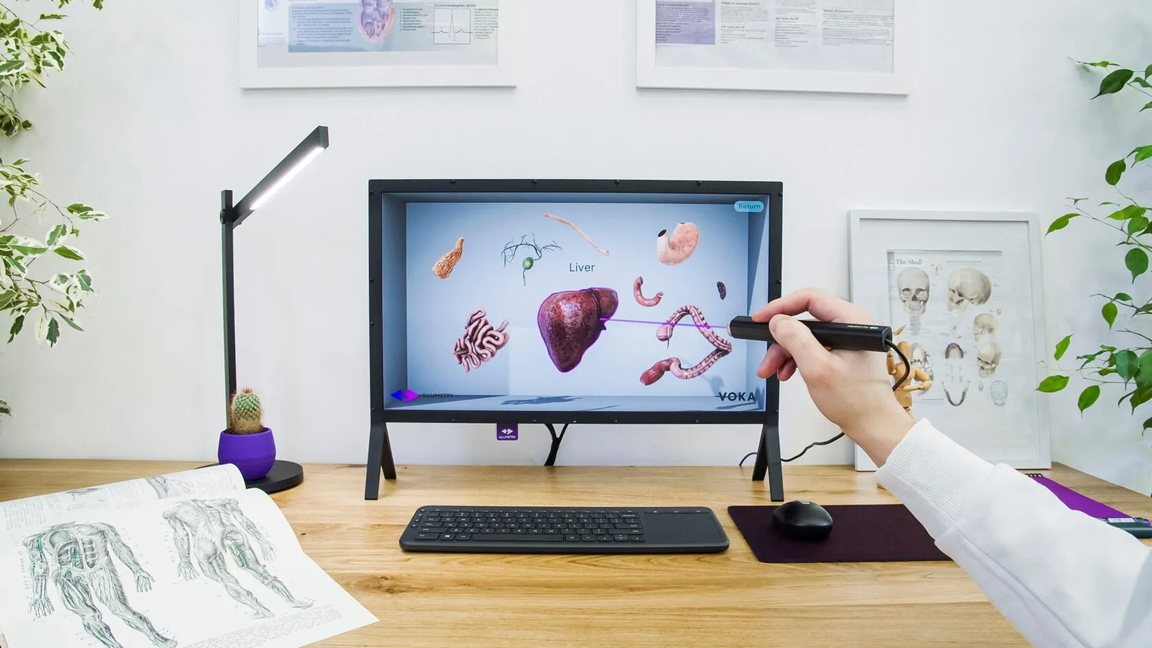 Anatomy model explored with the ILLUMETRY stylus
