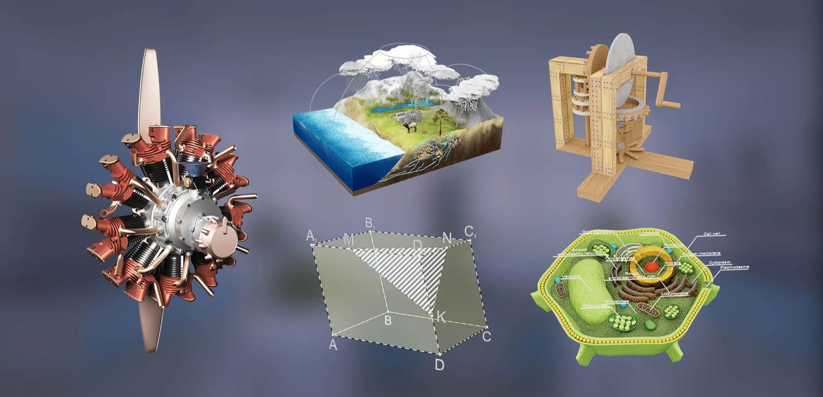 STEM models: an engine, a landscape, a cell and geometry